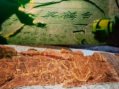 -白鹤梁水下博物馆