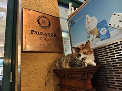 -宝莱纳餐厅(滨江店)