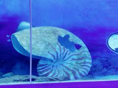 -多彩贵州城极地海洋世界