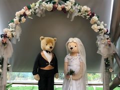 -济州岛泰迪熊博物馆