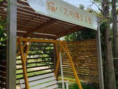 -前小桔亲子创意农场·草莓采摘·露营烧烤