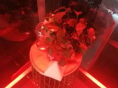 -甜喵酒吧(茂业店)