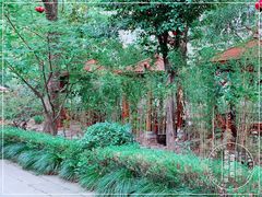 -中和·国风茶馆(愚园路店)