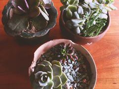 -时光花园(白鹭洲店)