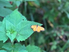 -东天目山风景区