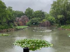 -白马涧龙池景区