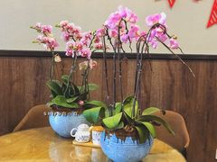 -绿杨馄饨店(湖滨新天地店)