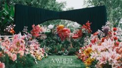 -琥珀婚礼策划AMBER WEDDING