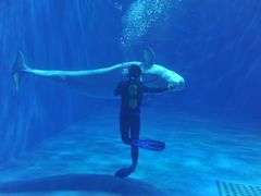 -多彩贵州城极地海洋世界