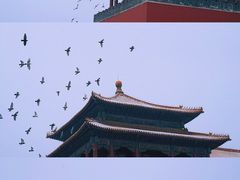 -故宫博物院(故宫)