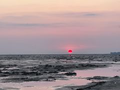 -北海金海湾红树林生态旅游区