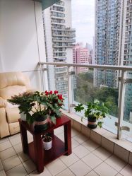-Yvon yoga 瑜伽·精准体态管理中心
