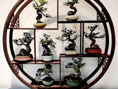 -上海滨江森林公园