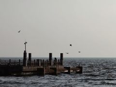 -呈贡滇池生态湿地公园