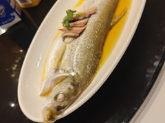 -上海1号私藏菜(黄浦店)