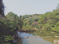 -云溪植物园
