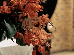 -南麓·浙里(外滩店)