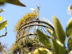 -三鹰之森吉卜力美术馆