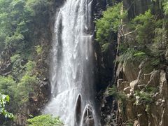 -陕西省红河谷森林公园