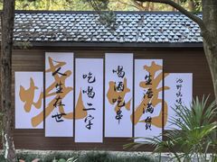 -白马涧龙池景区