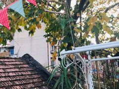 -大水的店(昙华林店)