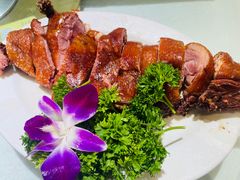 -小贝壳酒楼(经九路店)
