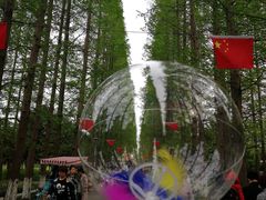 -金岛生态园烧烤露营地