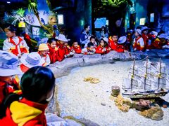 -多彩贵州城极地海洋世界