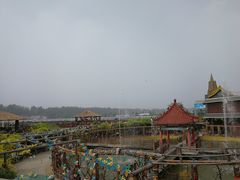 -北京呀路古热带植物园