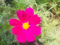 -回龙观体育文化公园