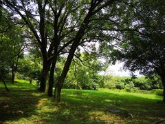 -福建鲤鱼洲酒店