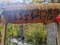 -五营红松林海景区