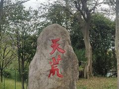 -江南天池