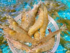 -金马门国际美食百汇(珞喻路店)