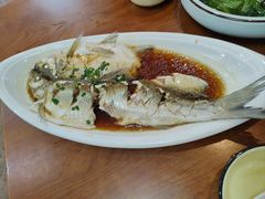 清蒸鲜白鱼-西新饭店(城中店)