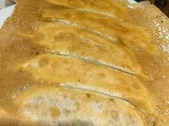 -陶然饺子城(奥体中路店)