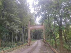 -黄公望隐居地