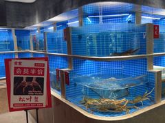-贡宴盐帮菜自贡驻京联络处餐厅