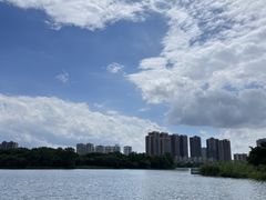 -飞来湖湿地公园