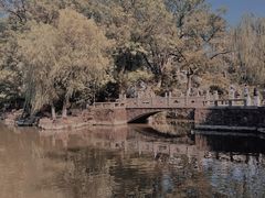 -红梅公园