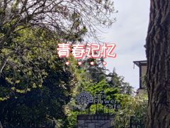 -向日葵咖啡