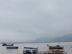 -北岐滩涂