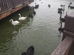 -无锡动物园·太湖欢乐园