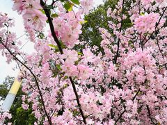 -莲花国际广场