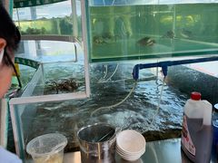 -品鲜村农家菜·阳澄湖大闸蟹(总店)