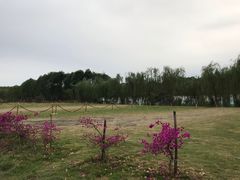 -马帮寨院坝火锅(龙港公园店)