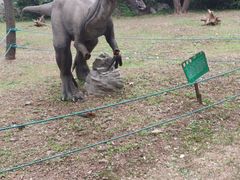 -原山国家森林公园