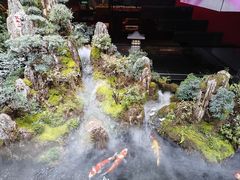 -唐河王记·南阳民间菜(国基路店)