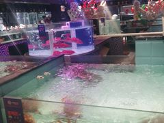 -尚海豆捞(乐虹坊店)