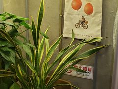 -BERRY BEANS(东直门店)
